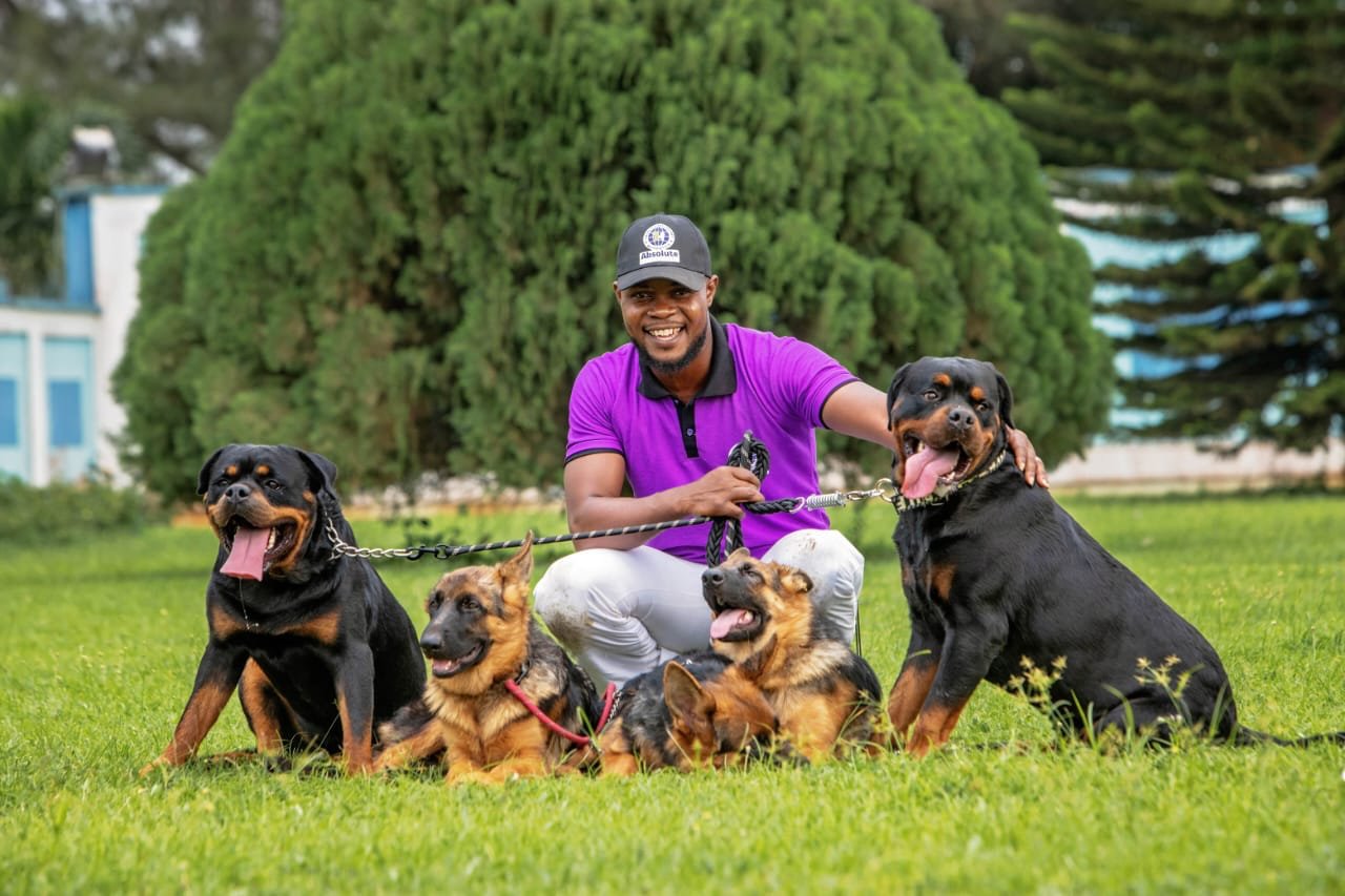 Trainer with 4 dogs smiling