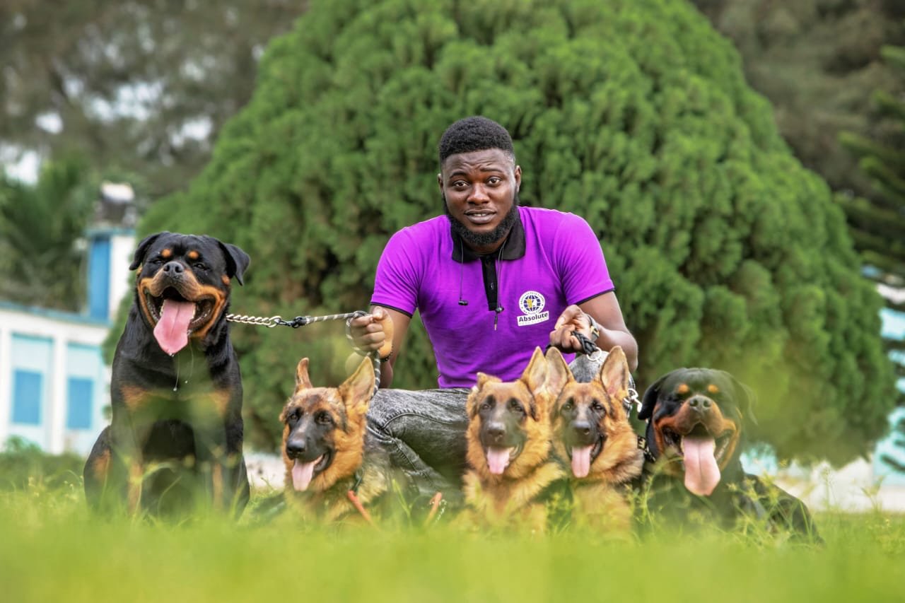 Trainer with dogs